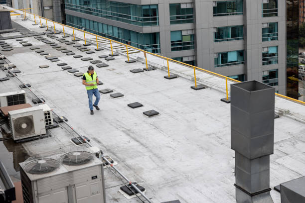 Best Storm Damage Roof Repair  in Beacon Hill, WA