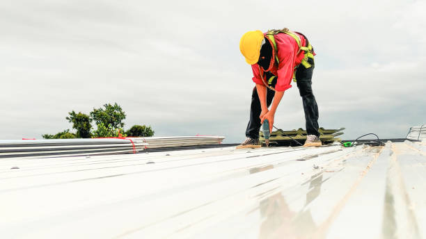 Steel Roofing in Beacon Hill, WA