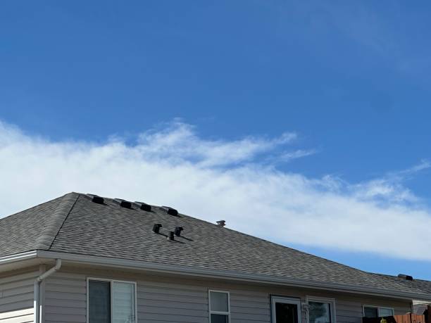 Professional Roofing Service in Beacon Hill, WA